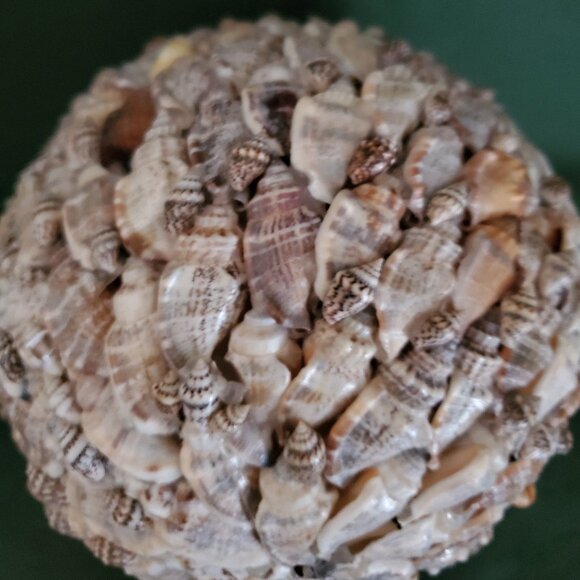 Seashell Home Decor Big Ball Sphere Sea Shell Beach Handmade - Picture 6 of 9
